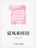 夏风来时语