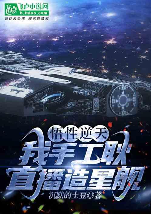 悟性逆天：我手工耿直播造星舰