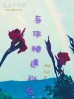 与你相遇以后