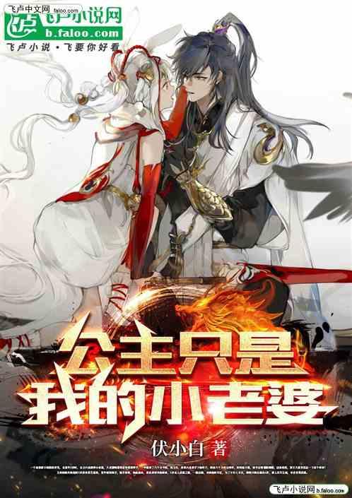 公主只是我的小老婆