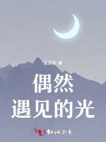 偶然遇见的光