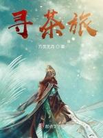 寻茶旅