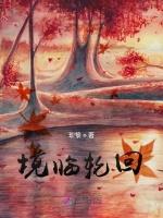 境临轮回