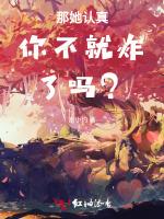 那她认真你不就炸了吗？