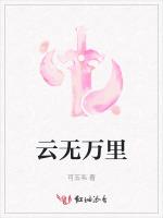 云无万里