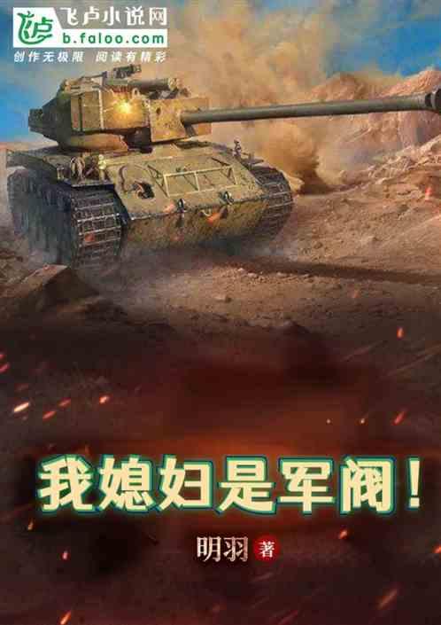 我媳妇是军阀！