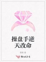 操盘手逆天改命