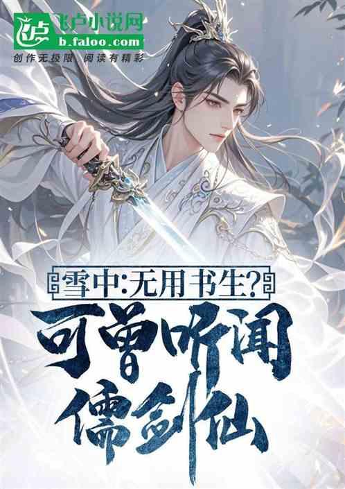 雪中：无用书生？可曾听闻儒剑仙