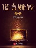 谎言赚钱系统