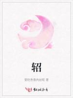 轺