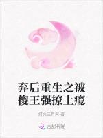 弃后重生之被傻王强撩上瘾