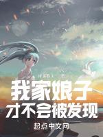 我家娘子才不会被发现