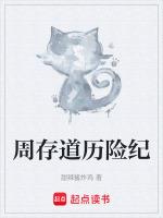 周存道历险纪