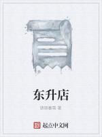 东升店