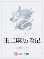 王二麻历险记