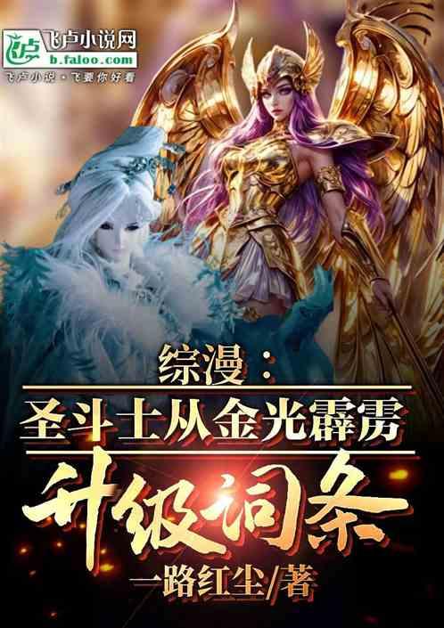 综漫：圣斗士从金光霹雳升级词条