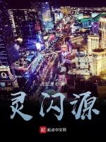 灵闪源