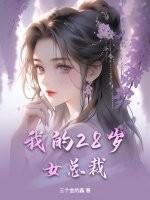 我的28岁女总裁
