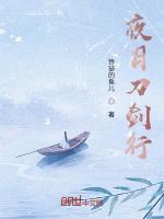 夜月刀剑行