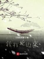 我打北边来