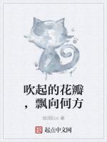 吹起的花瓣，飘向何方