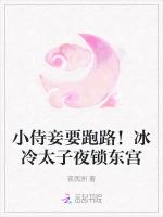 小侍妾要跑路！冰冷太子夜锁东宫