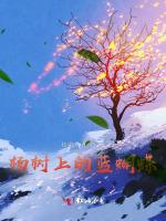 流光止于蝉鸣