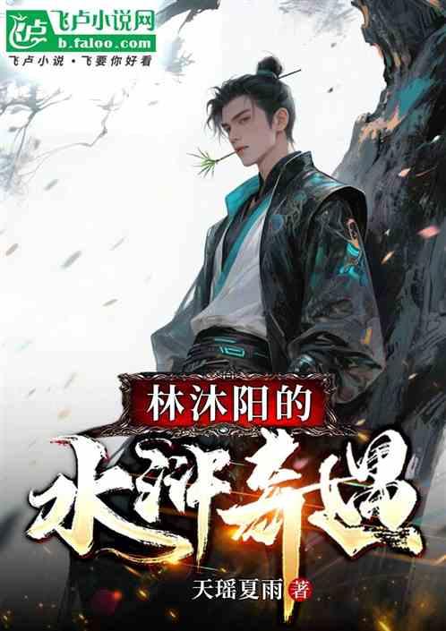 林沐阳的水浒奇遇