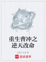 重生曹冲之逆天改命