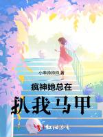 疯神她总在扒我马甲