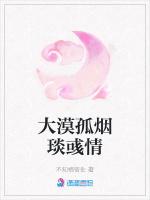 大漠孤烟琰彧情