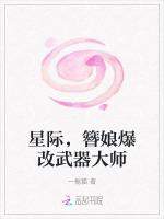 星际，簪娘爆改武器大师