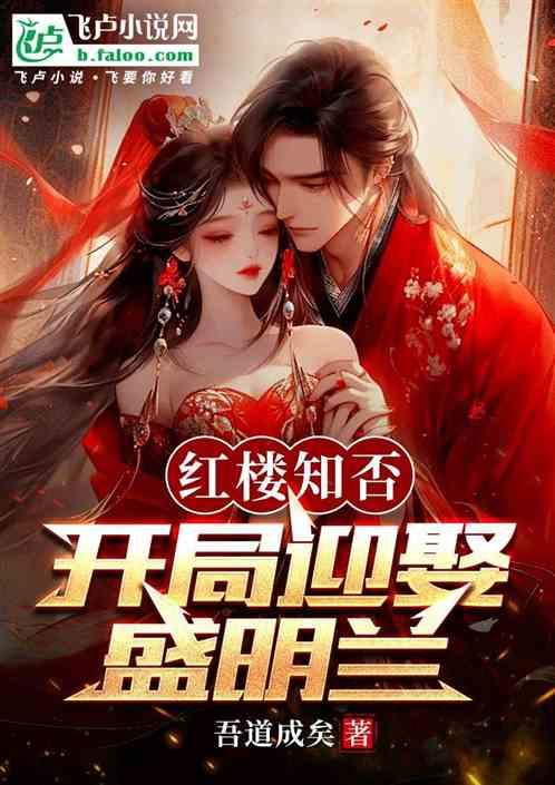 红楼知否：开局迎娶盛明兰