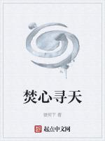 焚心寻天