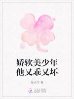 娇软美少年他又乖又坏