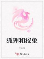 狐狸和狡兔