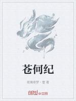 苍何纪