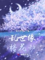 乱世缘，榕花劫