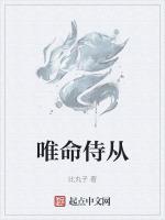 唯命侍从