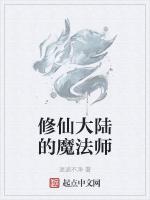 修仙大陆的魔法师