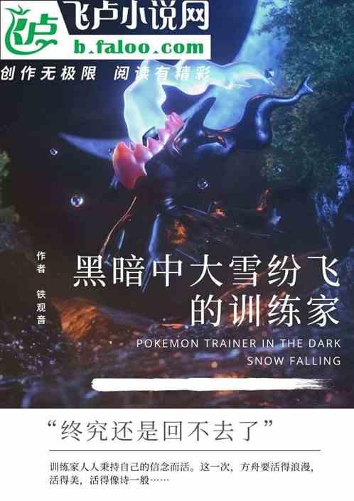 黑暗中大雪纷飞的训练家
