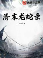 清末龙蛇录