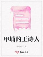 甲埔的王诗人