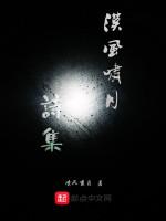 漠风啸月诗集