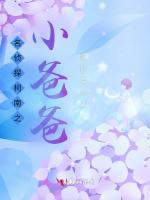 名侦探柯南之小爸爸