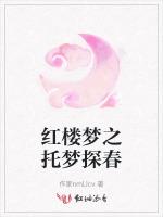 红楼梦之托梦探春