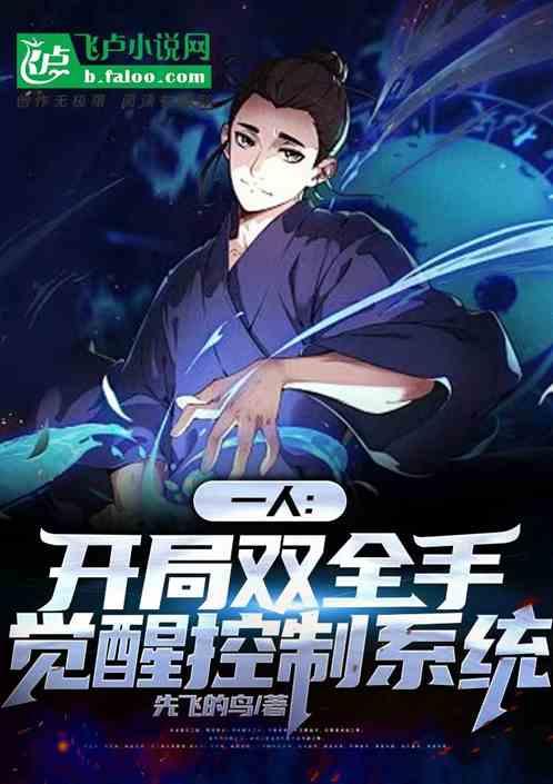 一人：开局双全手，觉醒控制系统