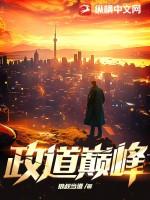 政道巅峰