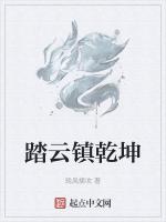 踏云镇乾坤