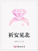 祈安见北